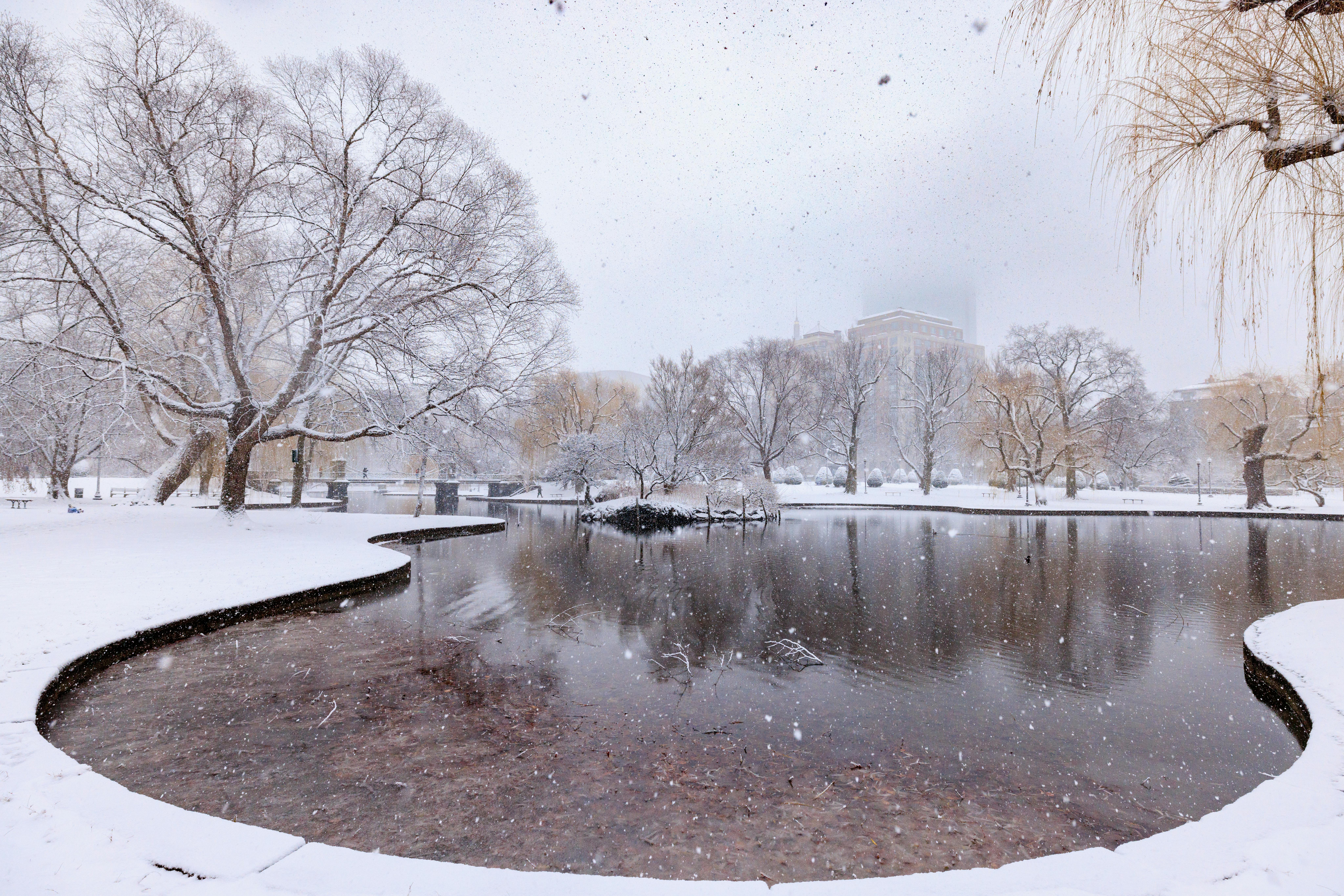 Boston Has a Plan for Sea Level Rise. What Next? — Photo by Phil Evenden on Pexels