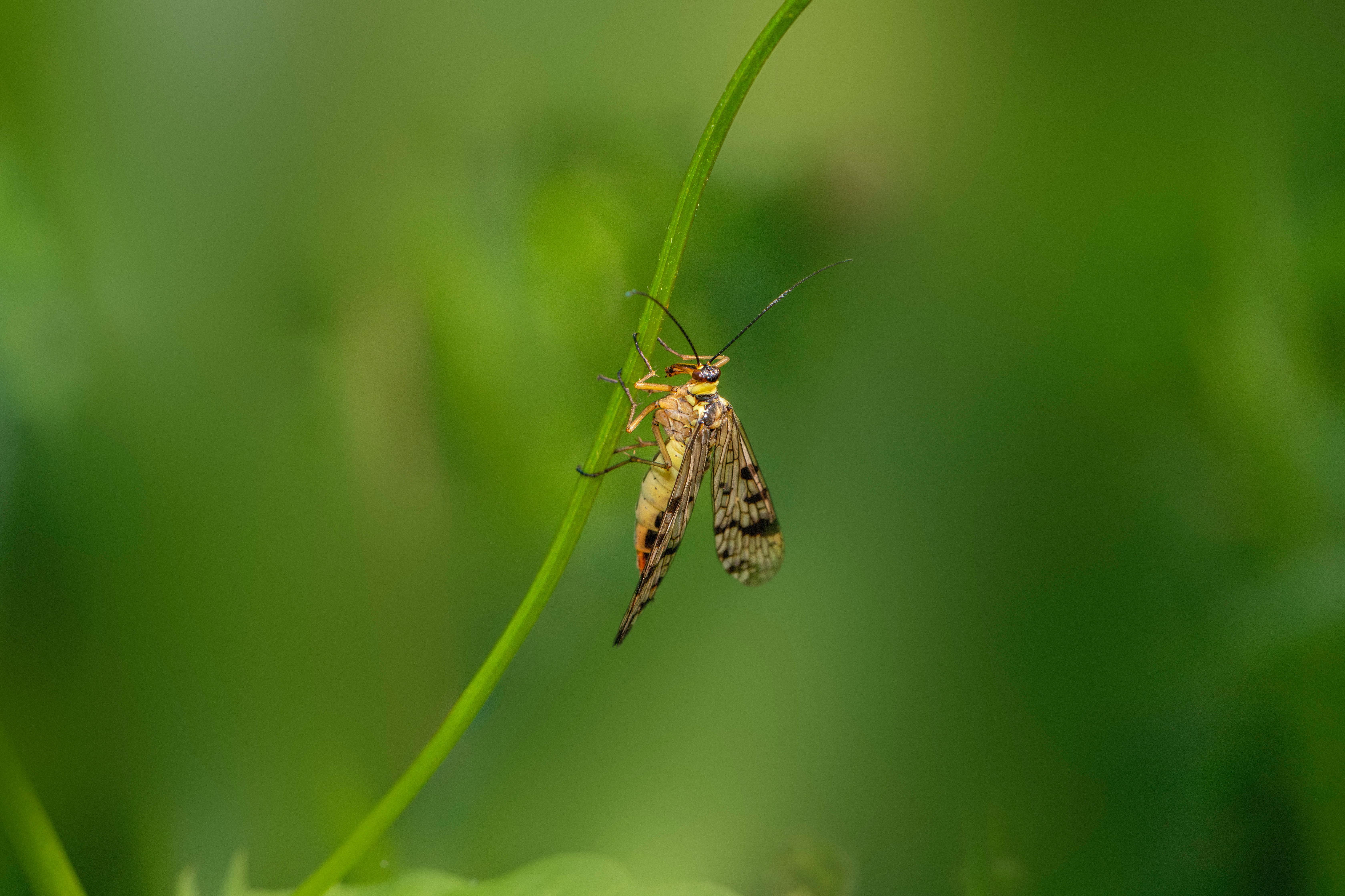 Naked+Big+Breast Photos, Download The BEST Free Naked+Big+Breast Stock