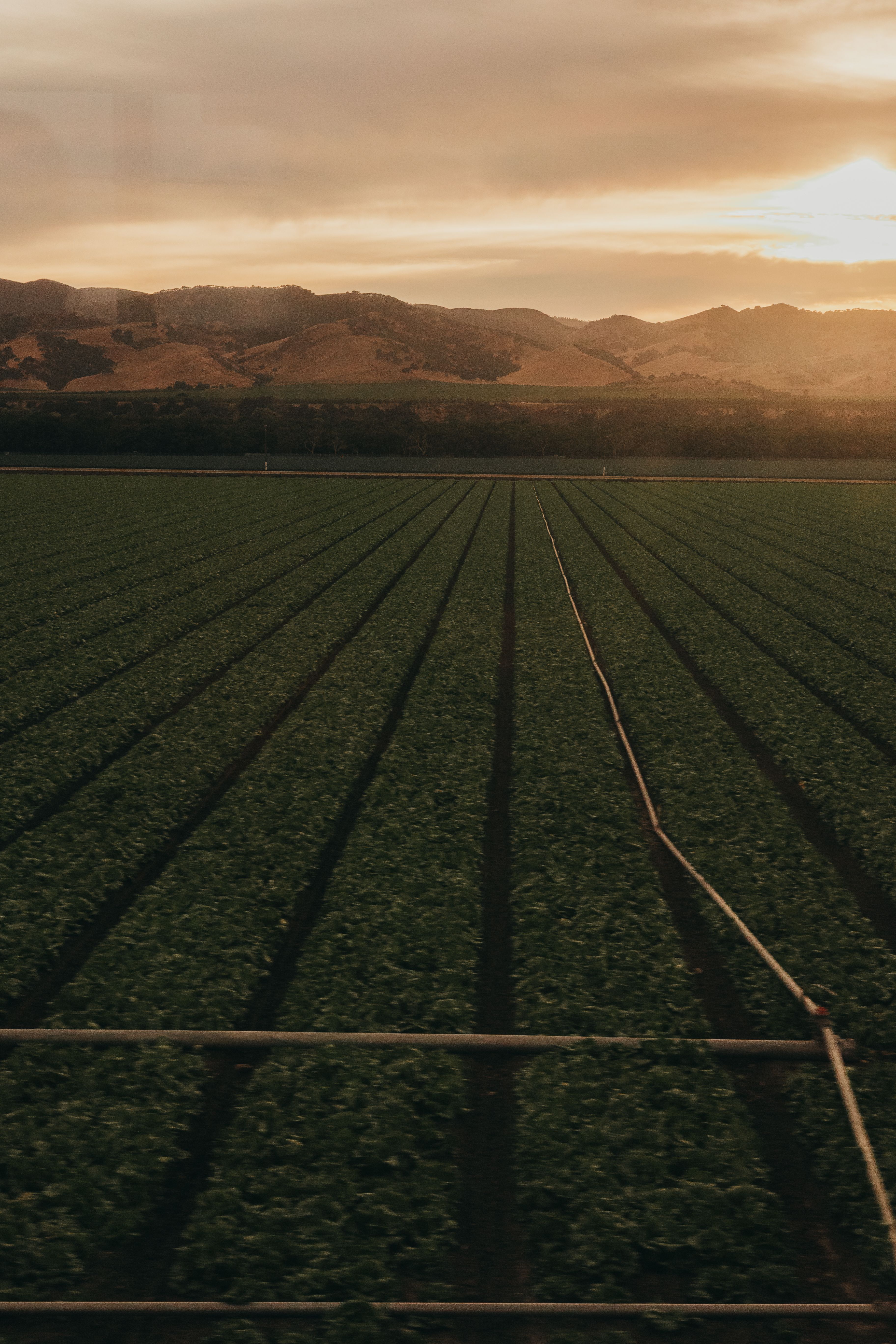 Evolving the Agricultural Sector: Agropole Africa 2026 Amidst Investment Gaps