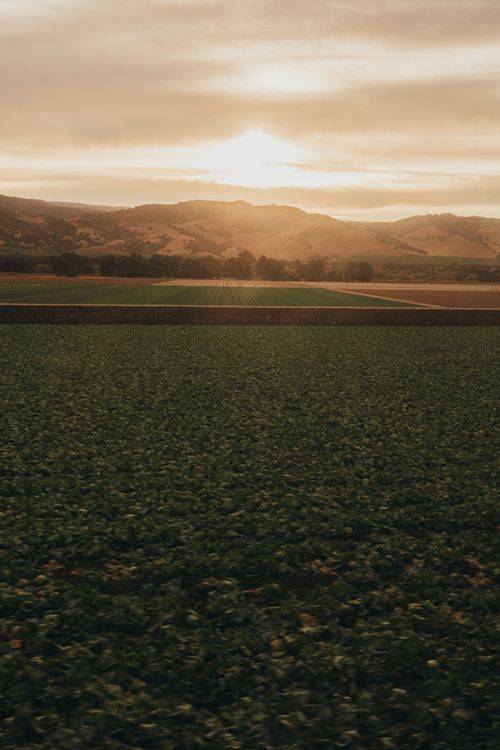 Free Scenic view of agricultural fields at golden hour with mountains in the background. Stock Photo