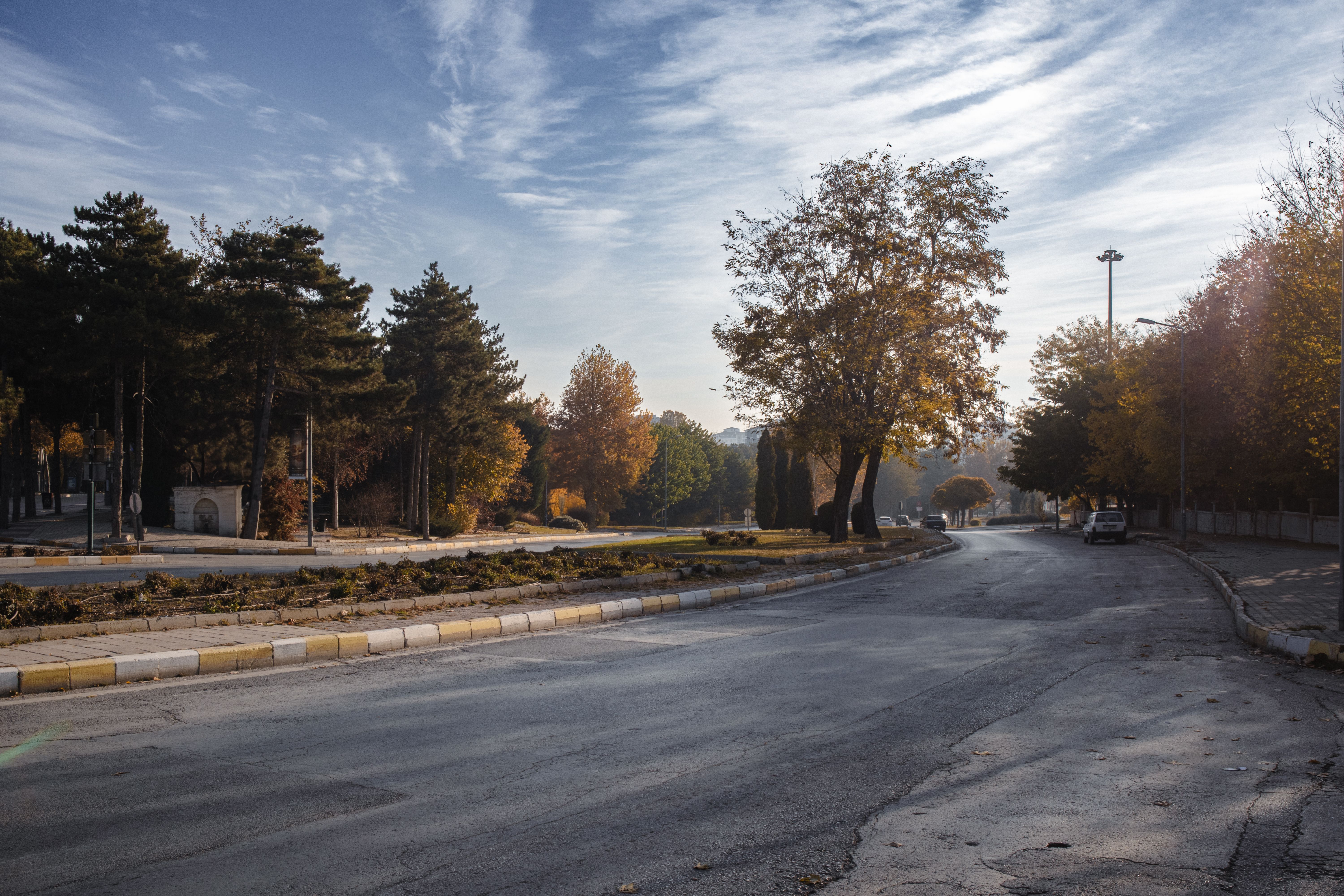 Tranquil street view in Elâzığ, Türkiye, surrounded by autumn trees under a clear sky.