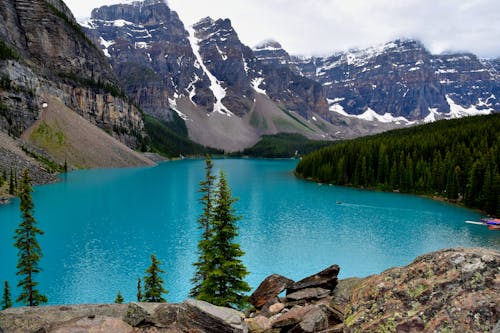 Lago Entre Bosque Y Montaña