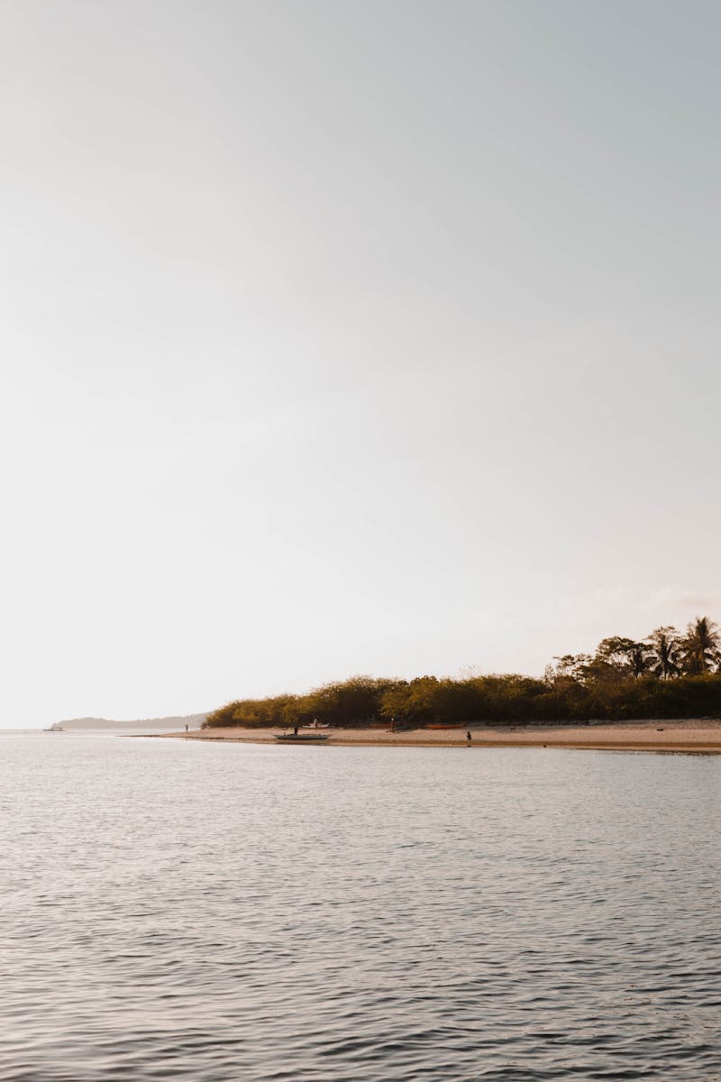 Before: Bed Maintenance project at Weeki Wachee