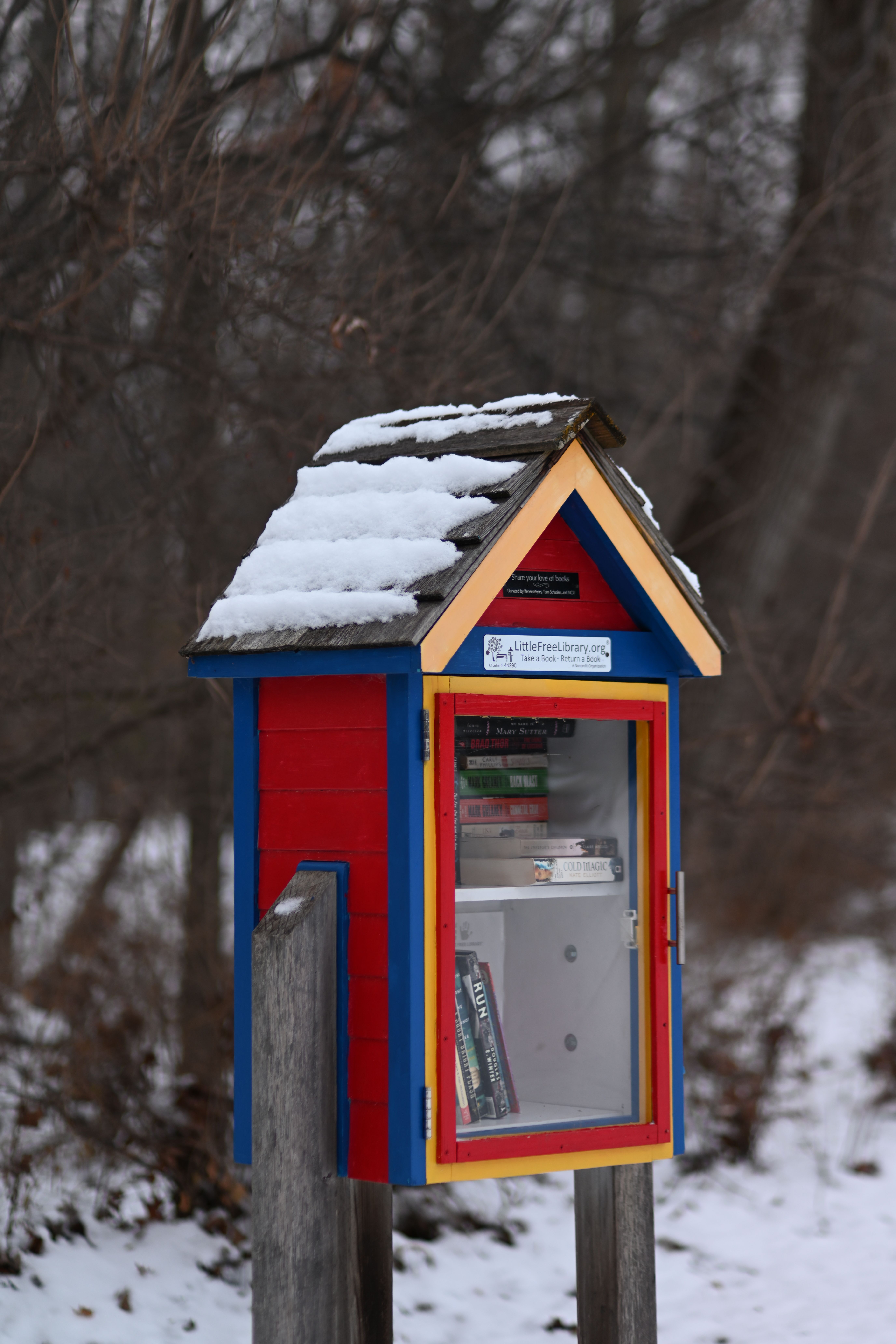 Charming little free library surrounded by snow in a tranquil winter forest setting.