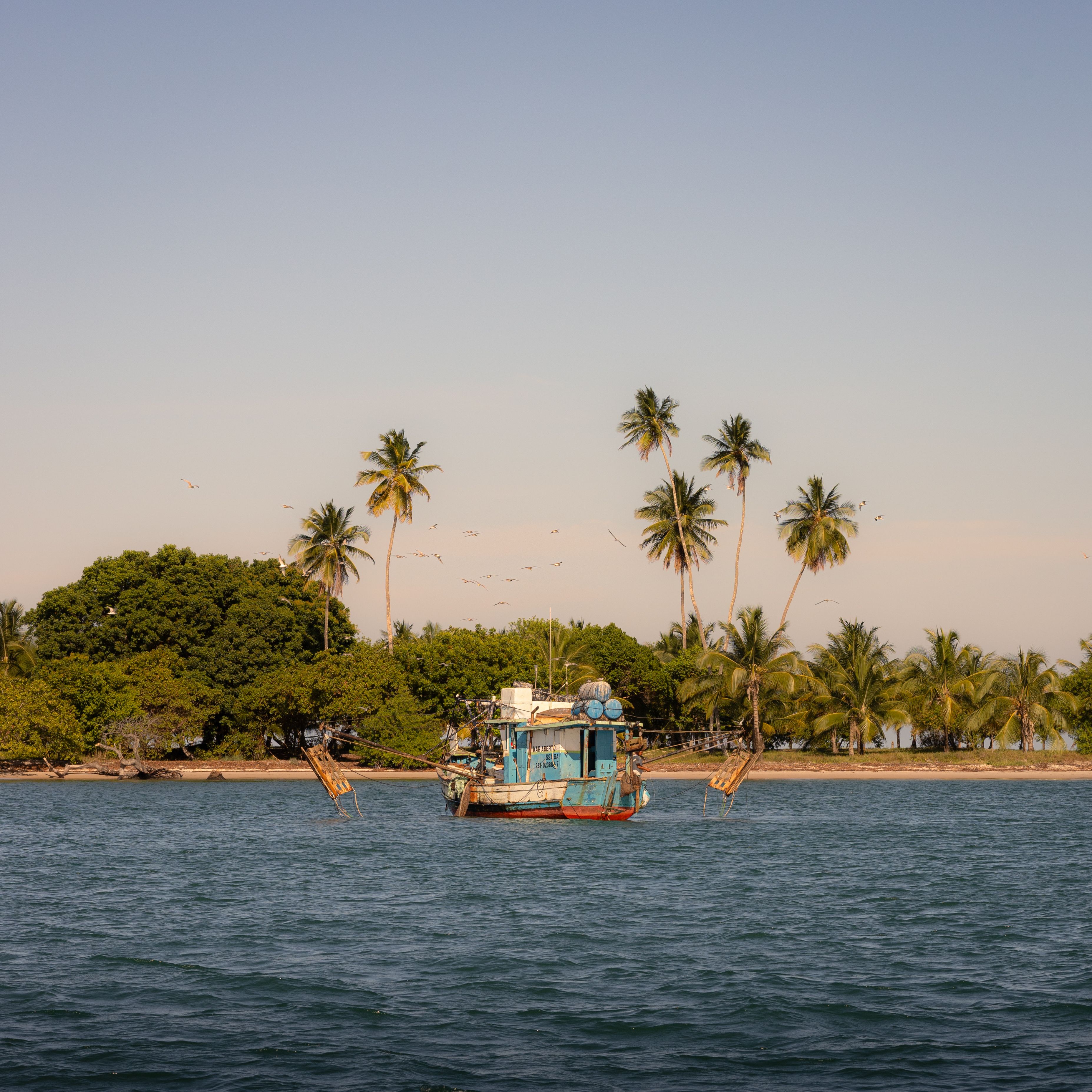 A small fishing boat near a palm-lined tropical island