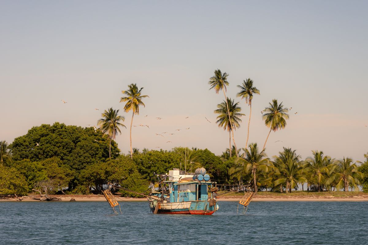 A small fishing boat near a palm-lined tropical island