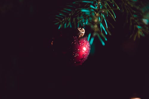 在綠色的松樹上的紅色和銀色聖誕球