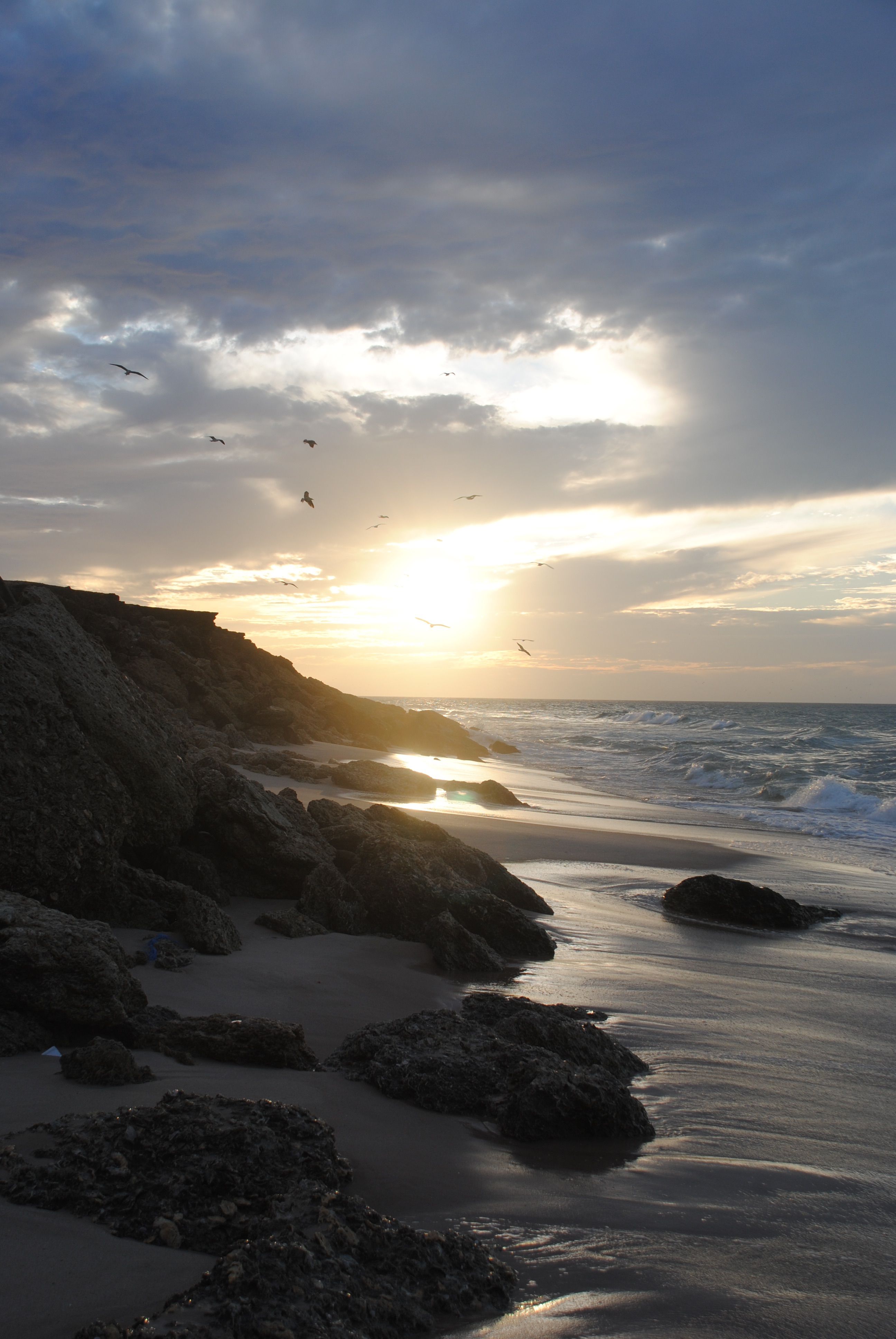 Beautiful Sunset Over Rocky Beach with Seabirds · Free Stock Photo