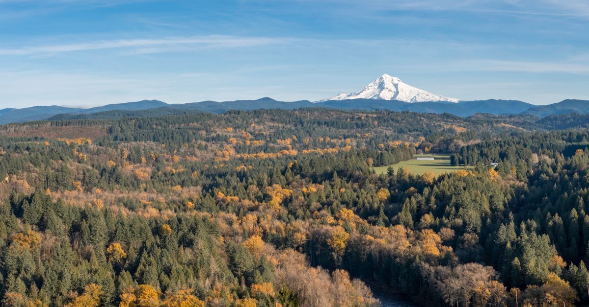 Autumn landscape with Mount Hood and forest in Sandy, Oregon.
