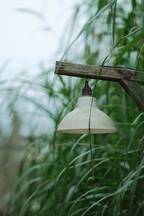 Free Vintage outdoor lamp on wooden post surrounded by lush green grass. Stock Photo