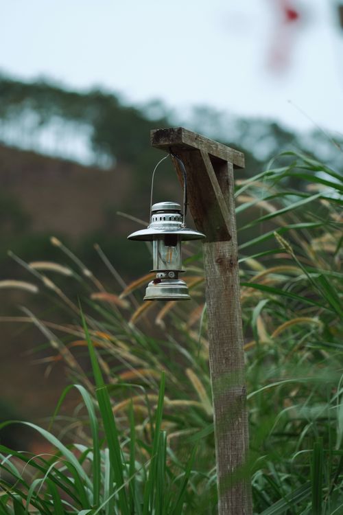 Free Vintage lantern hanging on a wooden post surrounded by lush greenery in a serene outdoor setting. Stock Photo