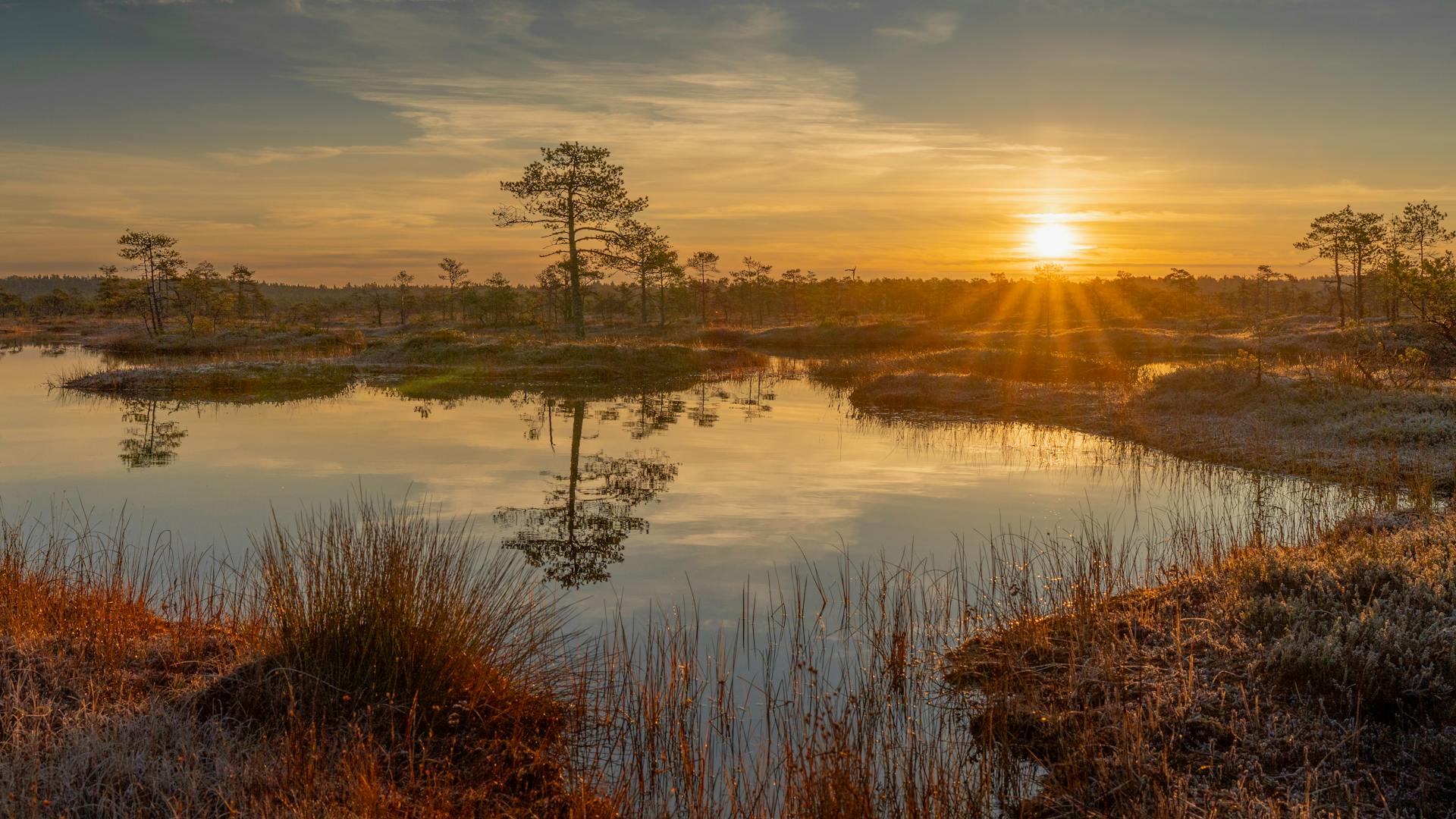 A stunning sunrise over a tranquil marsh with reflections in the water, showcasing nature's beauty.