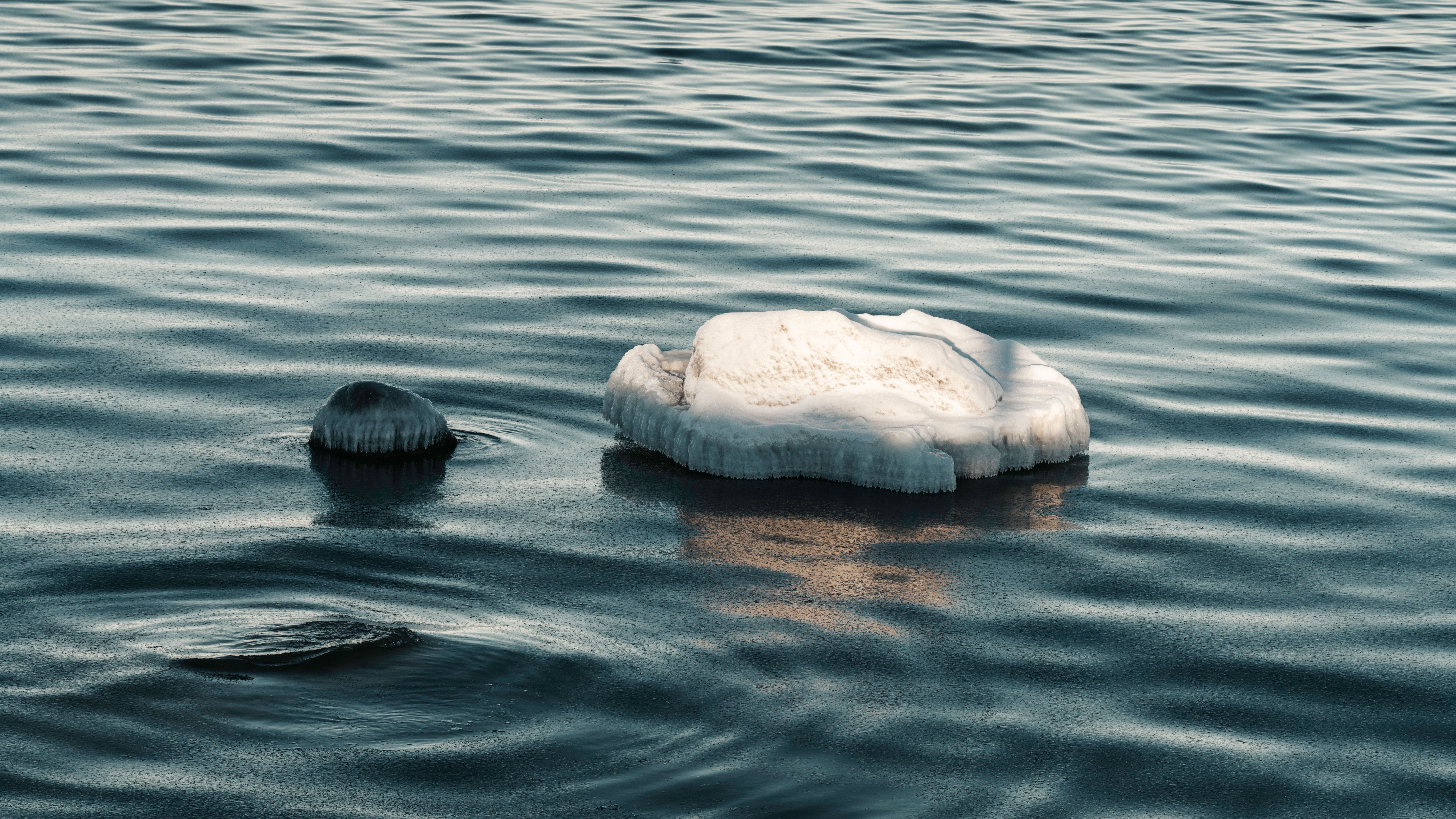 A serene view of ice chunks floating on calm ocean waters under daylight.