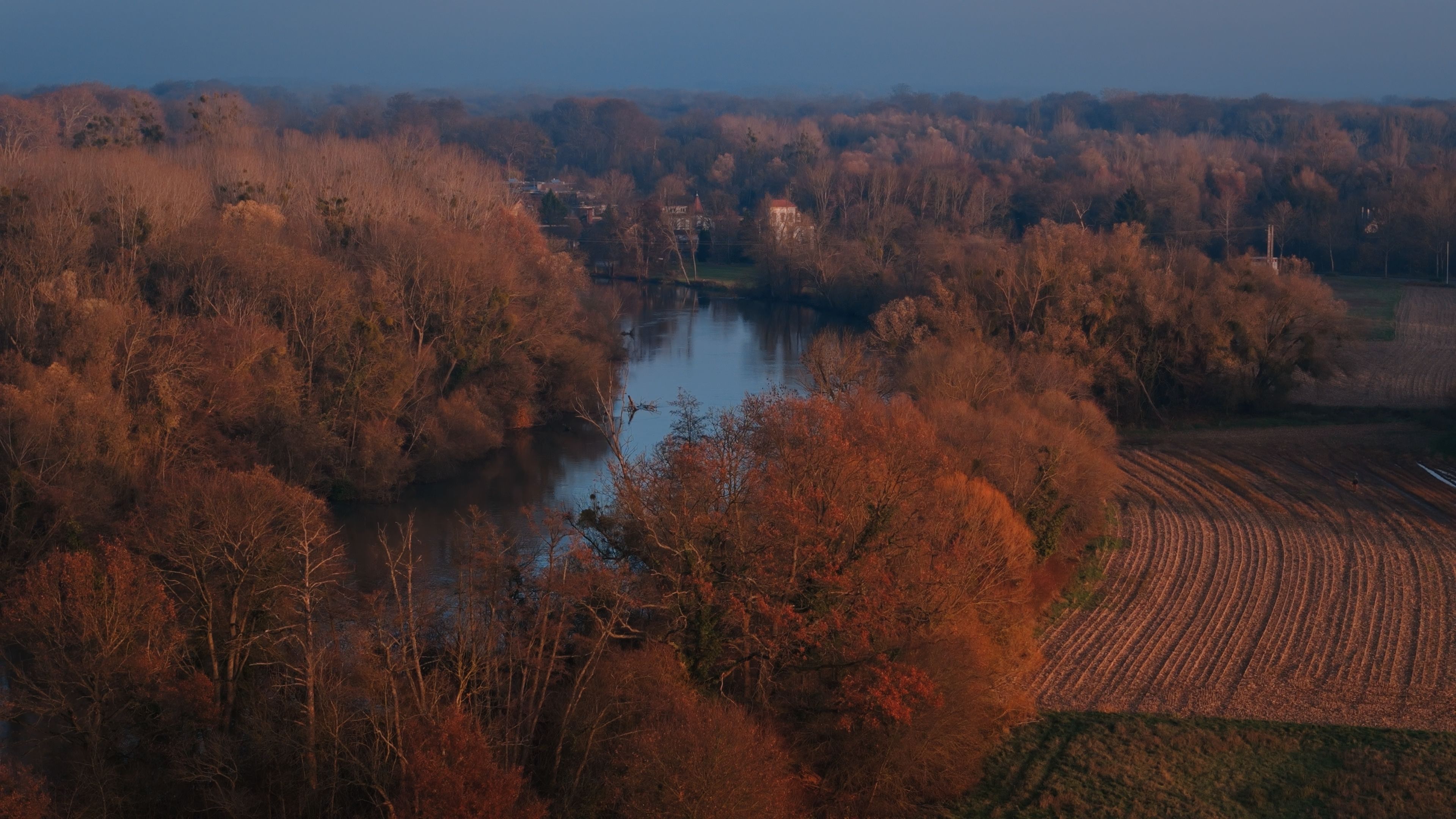 Une escale spectaculaire de cigognes sur les toits de Verzy