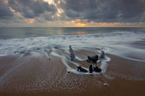 Brown Sea Waves