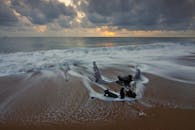 日出时分，宁静的海滩上浮木与波浪交织，捕捉自然的美丽