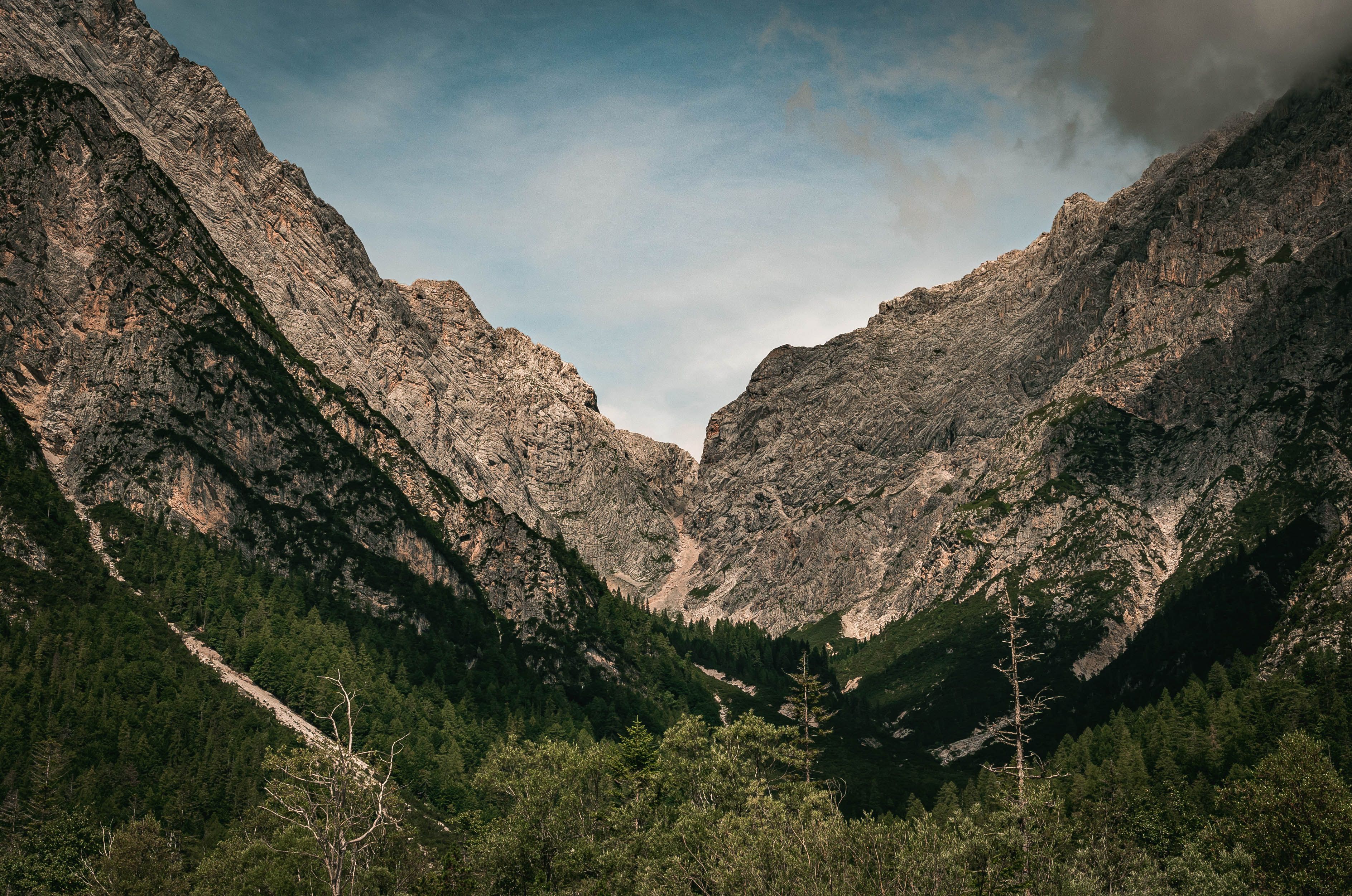 Majestic Mountain Landscape in Lush Forest Setting · Free Stock Photo