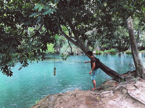 Man Beside Tree Facing Body Of Water