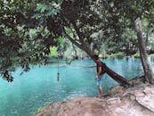 在墨西哥圣路易斯波托西的热带河流附近享受冒险的人