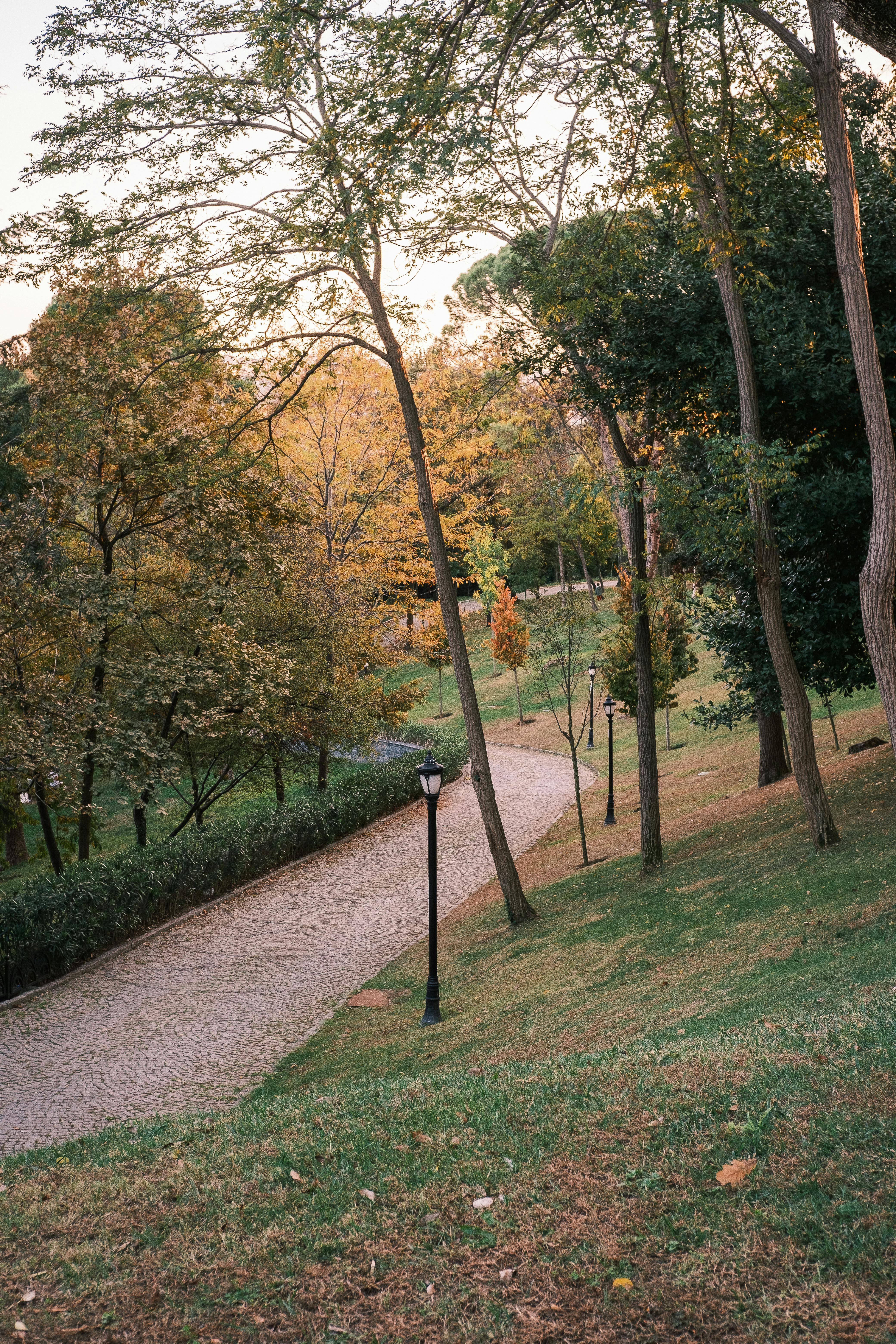 Serene autumn scene of a winding pathway through a park in Istanbul, Türkiye.