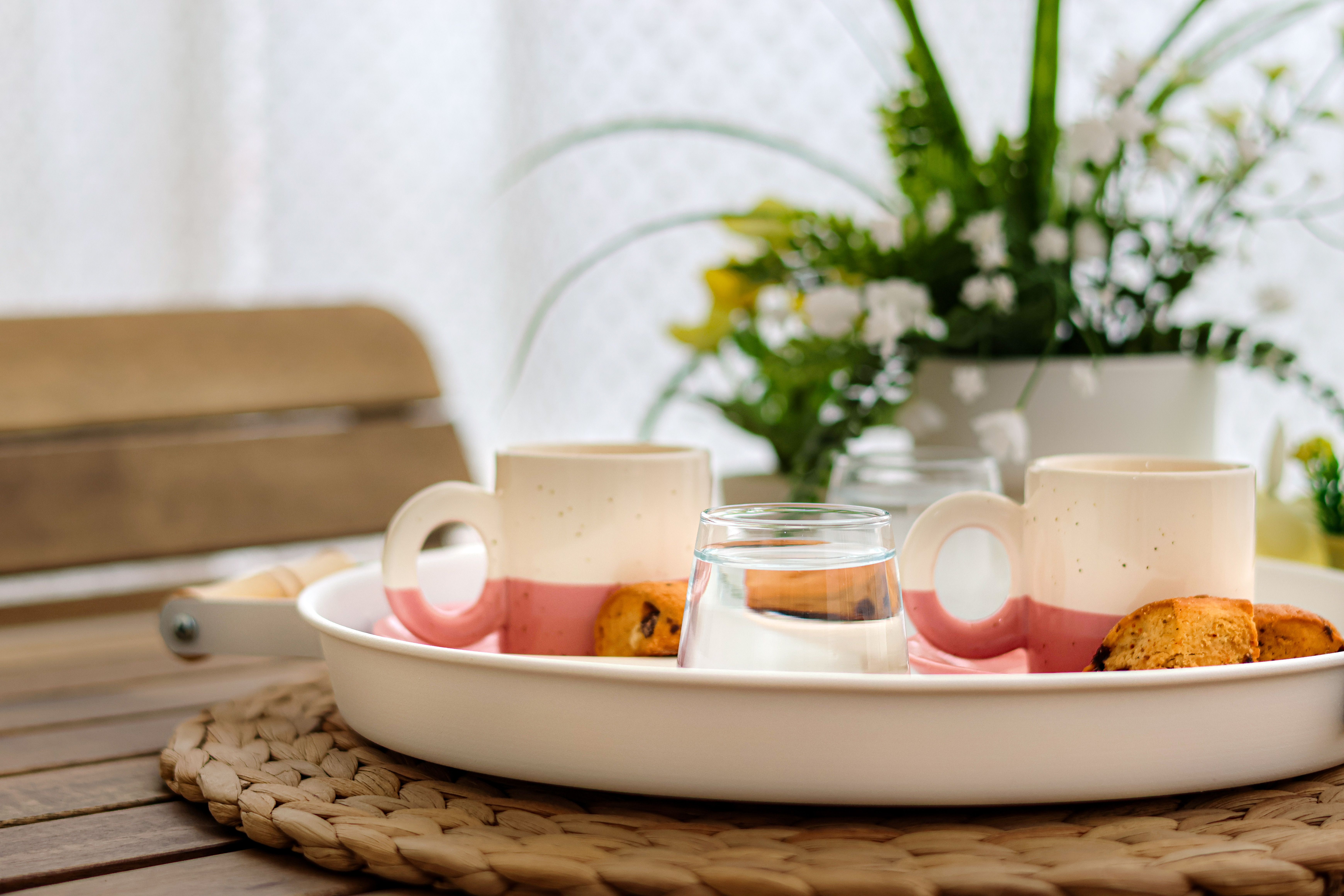 Best Plant Saucers 2026: Plastic, 6-In & Self-Watering