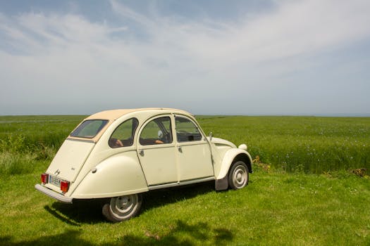 Vintage car parked in a lush green field under a clear blue sky, capturing a timeless rural scene.