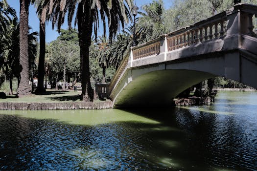 Santa Fe, United States photo 17