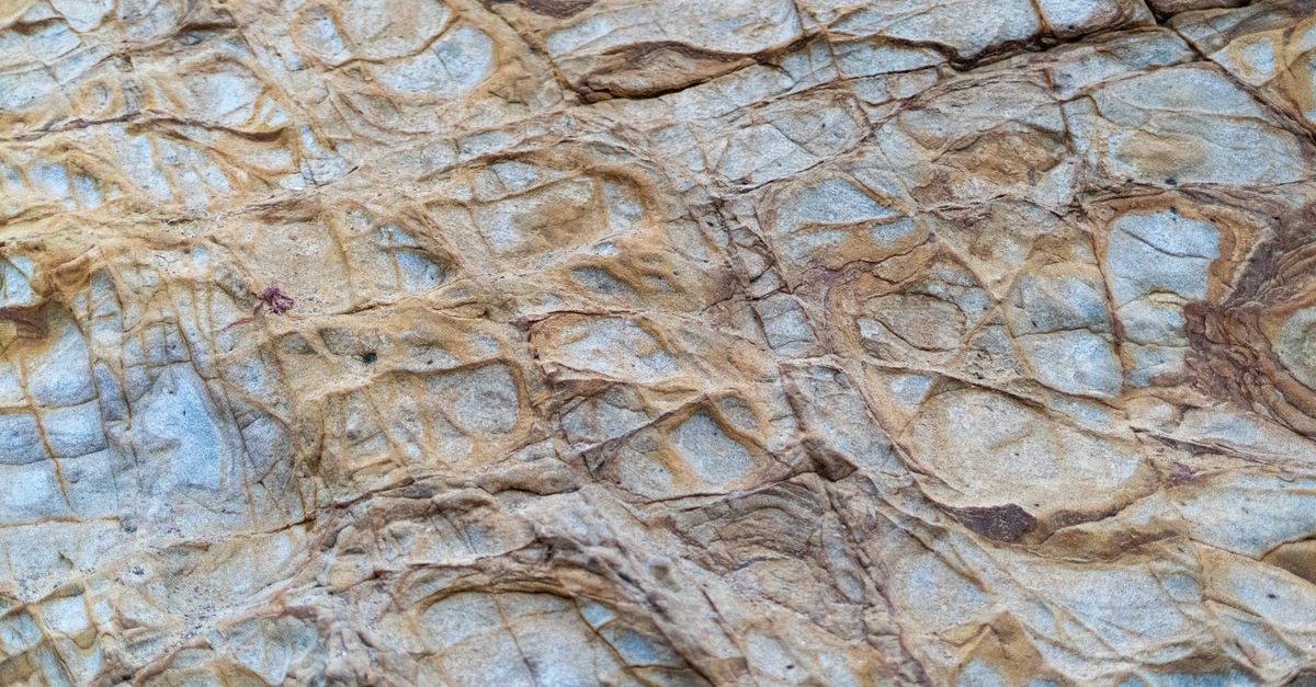 Earthy Rocks White Natural Rock Texture with Earthy Tones · Free Stock Photo