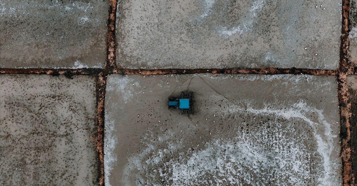 Comment Trouver des Pièces Détachées pour Tracteur au Meilleur Prix