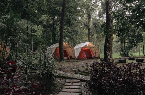 Free A serene camping scene featuring tents surrounded by lush forest greenery, ideal for outdoor adventure enthusiasts. Stock Photo