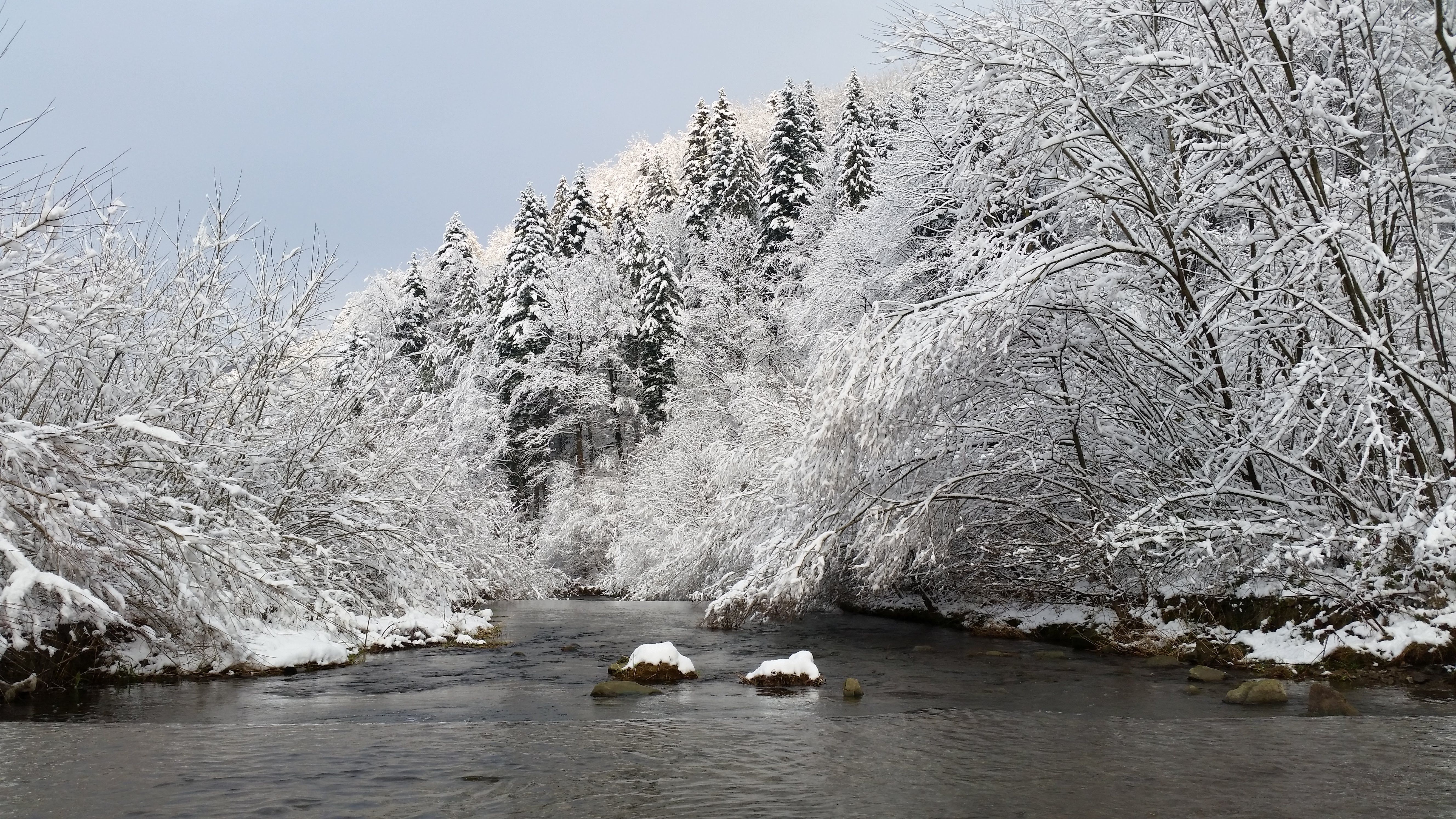 Snow-Covered Mountain Stream in Winter Landscape · Free Stock Photo