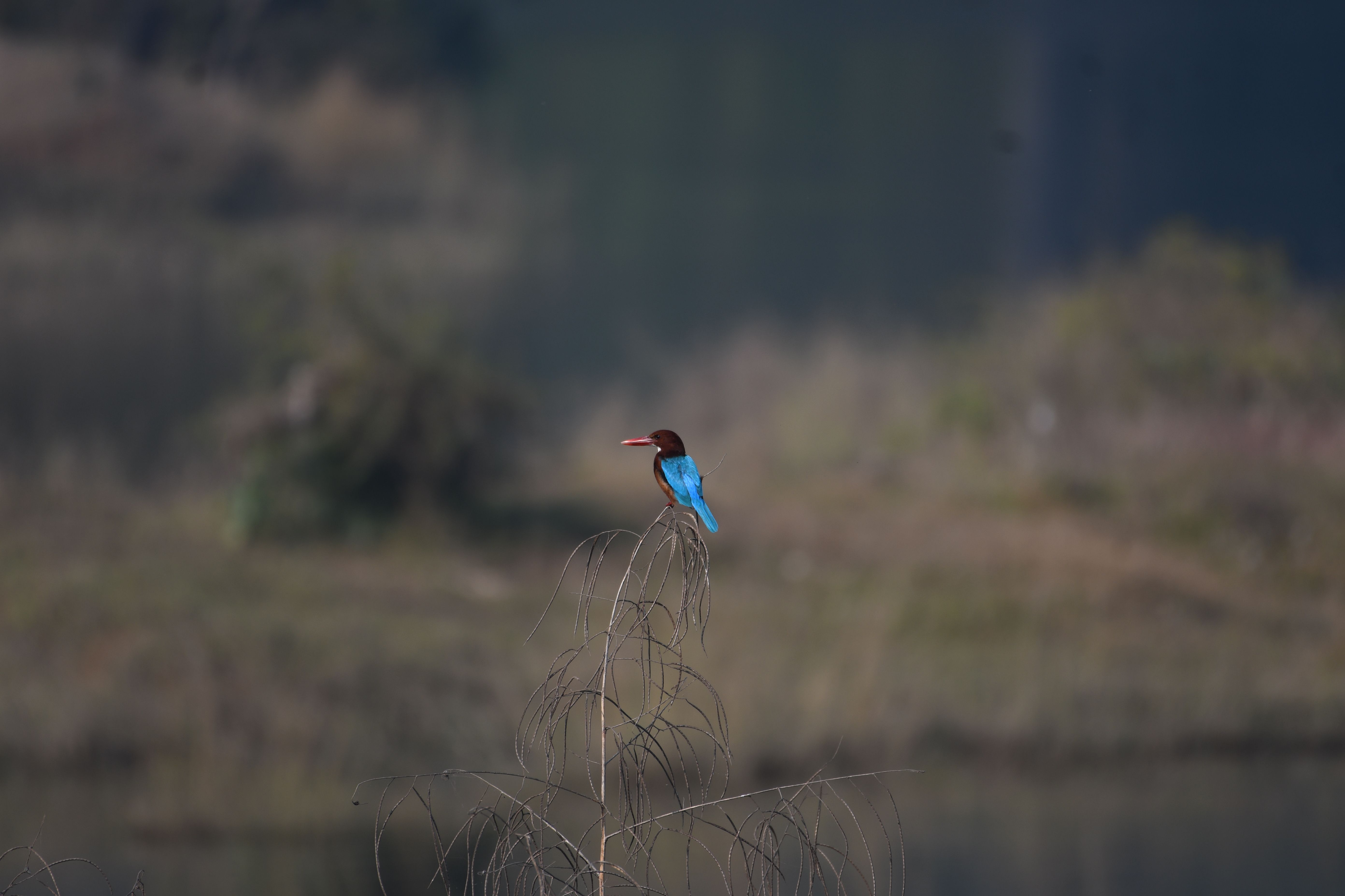 Rawatbhata, India