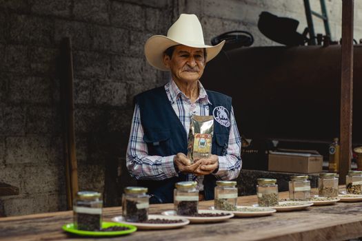 Boquete coffee highlands — Panama