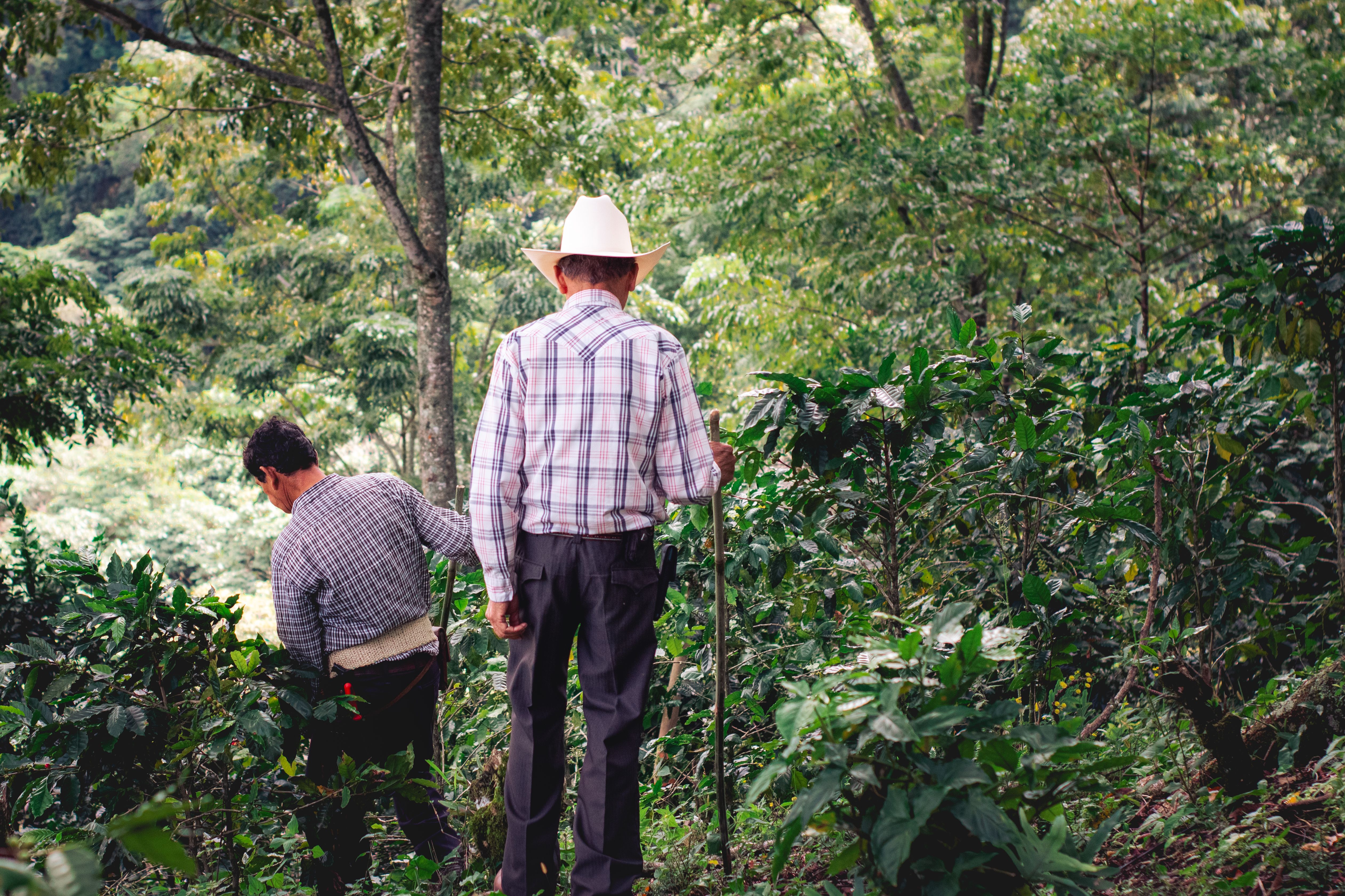 Year-end financial planning for farmers — Photo by Daniel Morales on Pexels