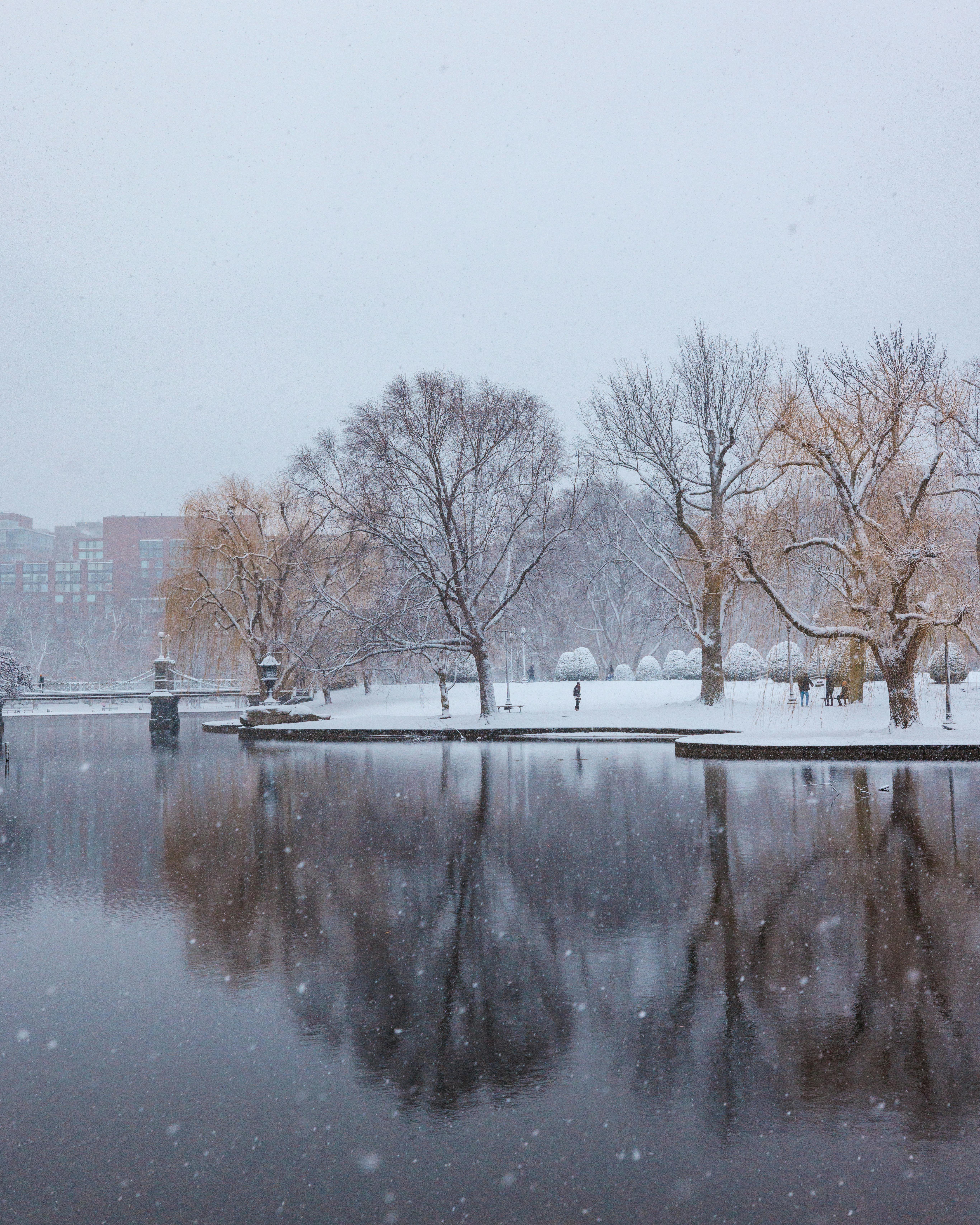 Snowy winter scene at Boston Public Garden with reflective lake and bare trees.