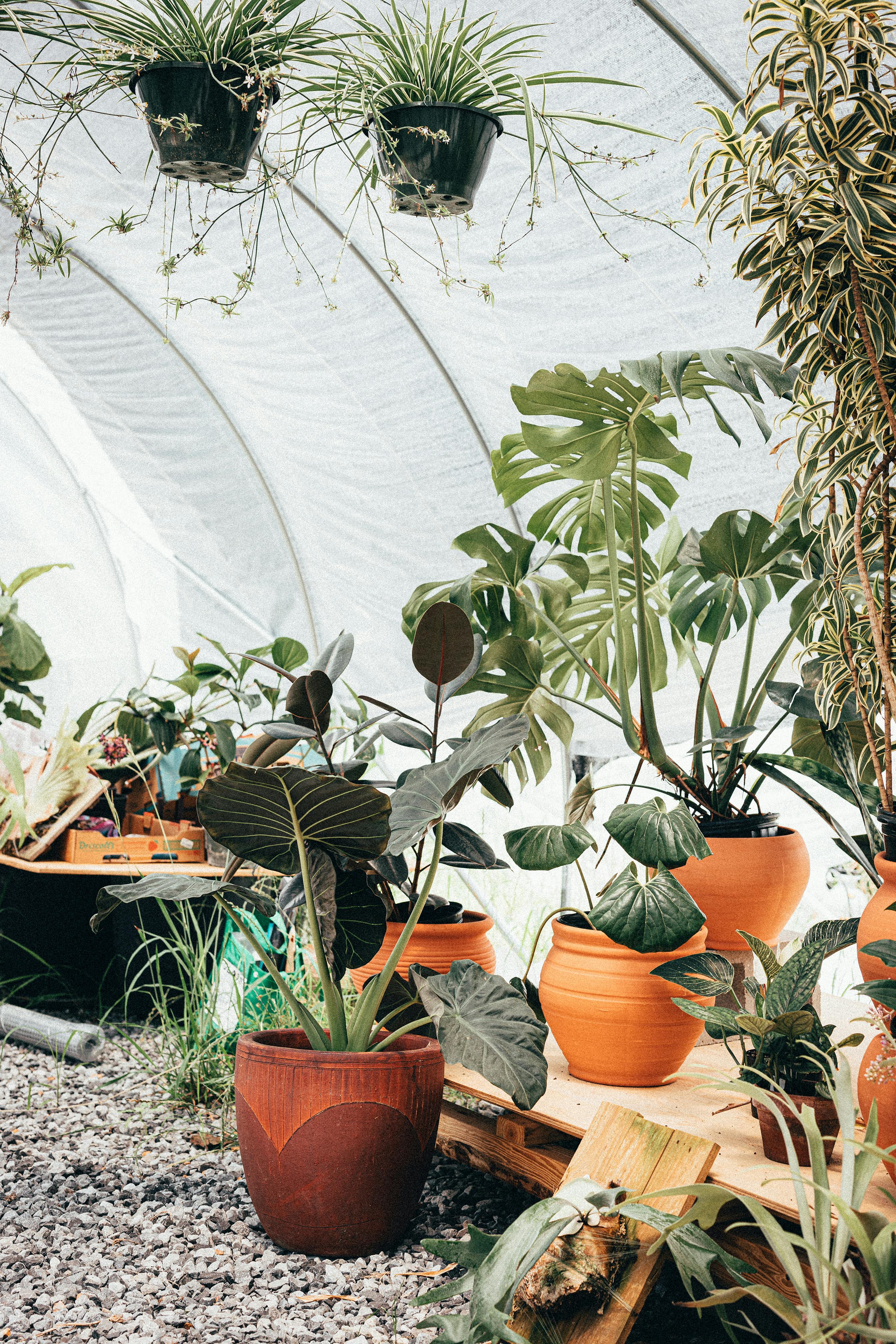 Craft Your Perfect Gardening Space: Vego Garden Unveils Innovative Potting Bench Collection