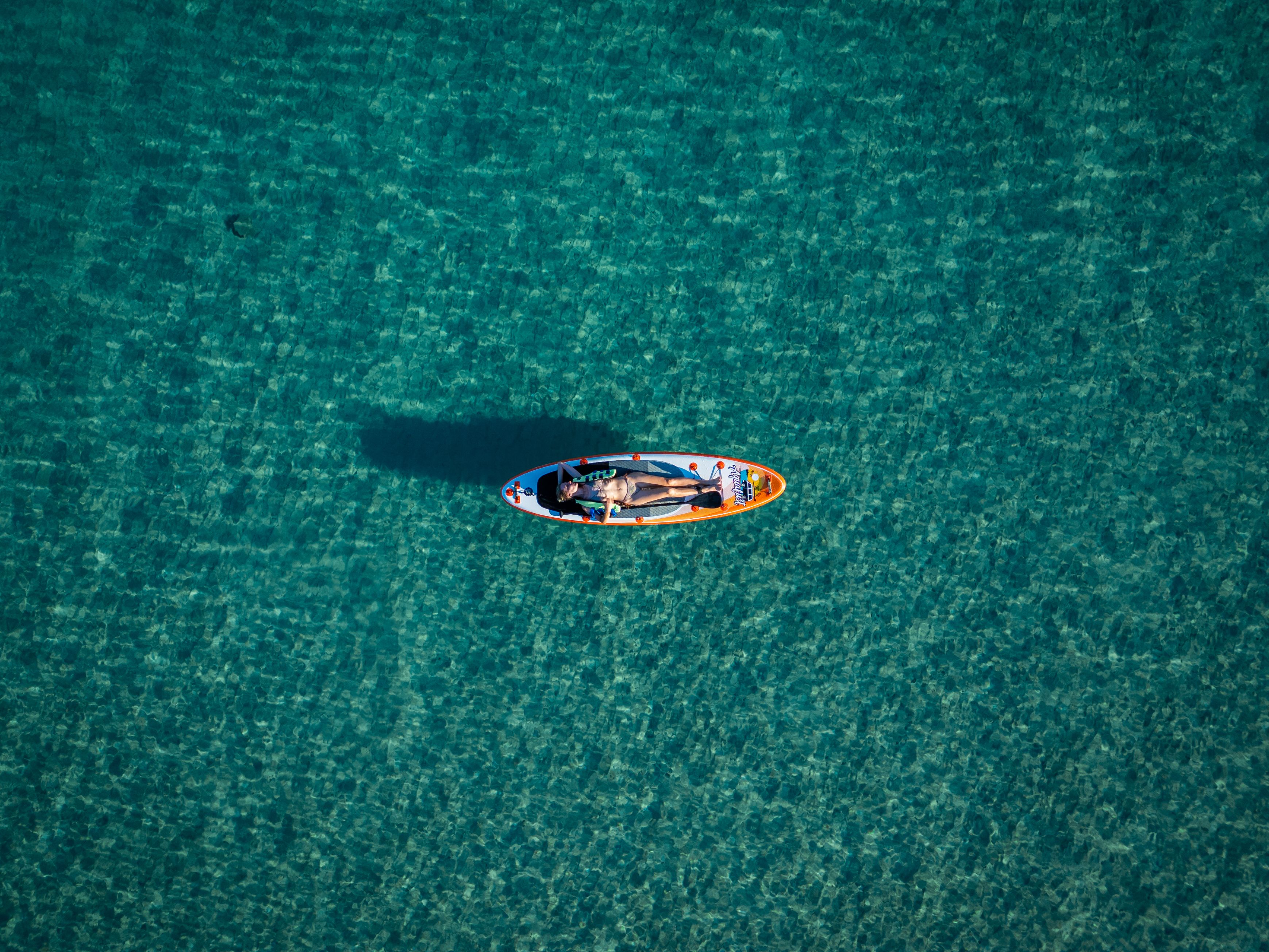Surfboard Activity Photos, Download The BEST Free Surfboard Activity ...