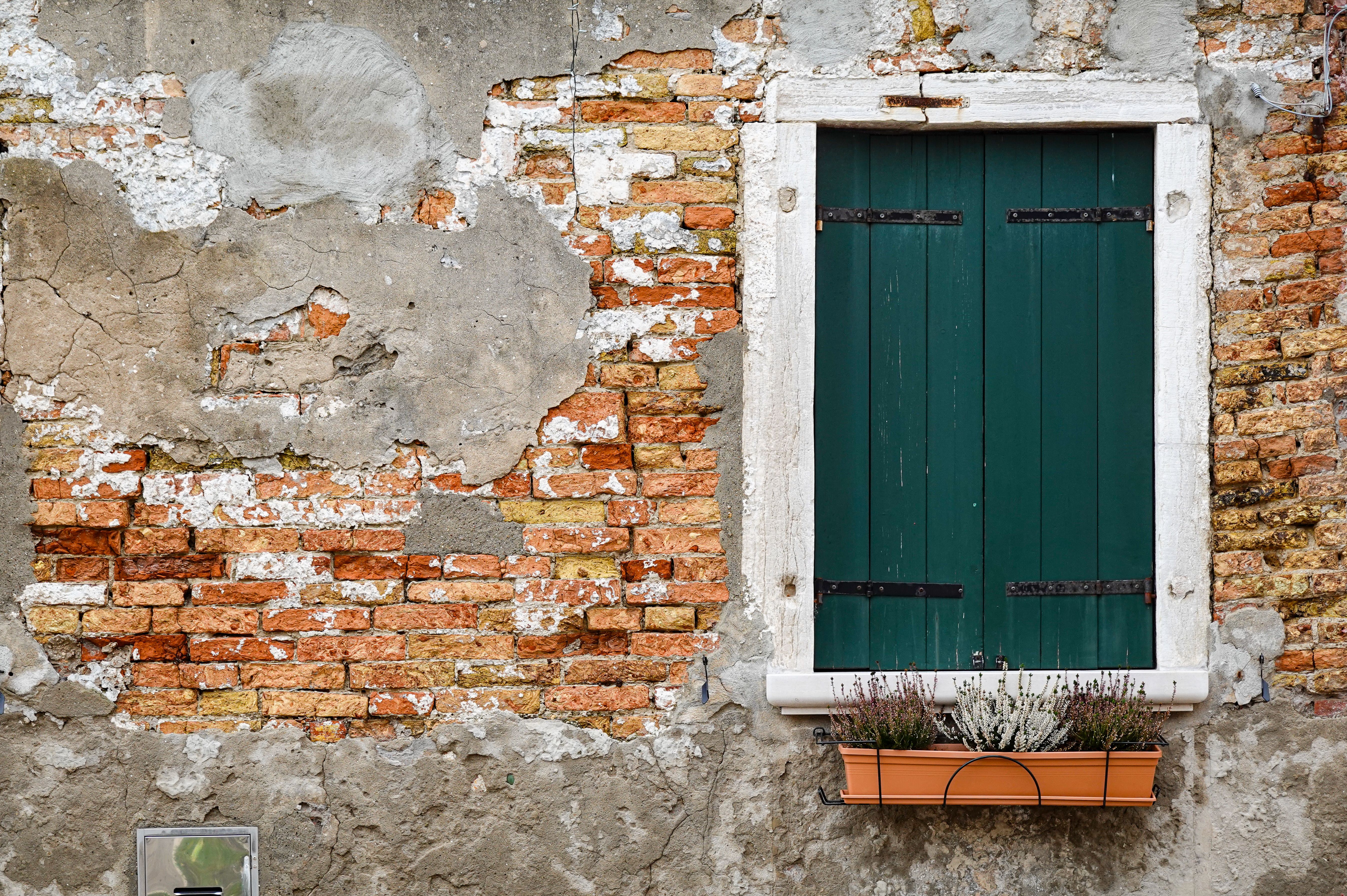 The Hidden Costs Of Home Improvement DIY Fails — Photo by Magda Ehlers on Pexels