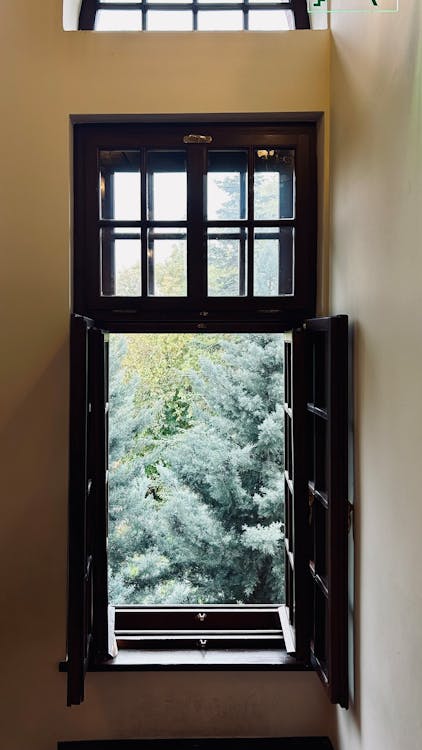 Free A scenic view of lush green trees seen through an open wooden window. Captures tranquility. Stock Photo