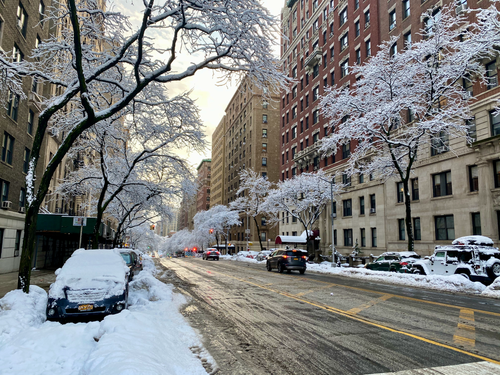 Free A city street lined with snow-covered trees and buildings on a winter day. Stock Photo