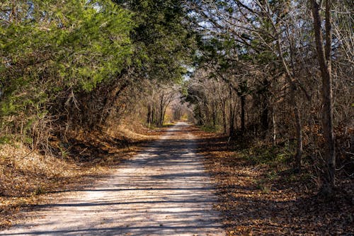 A Charming Texas Escape Perfect for the Last Days of Fall