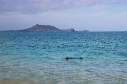 Free A serene view of a person swimming in the blue ocean with a coastline in the background. Stock Photo