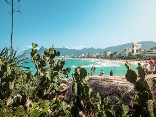 Free Vibrant view of Ipanema Beach with cacti and people enjoying a sunny day, Rio de Janeiro. Stock Photo