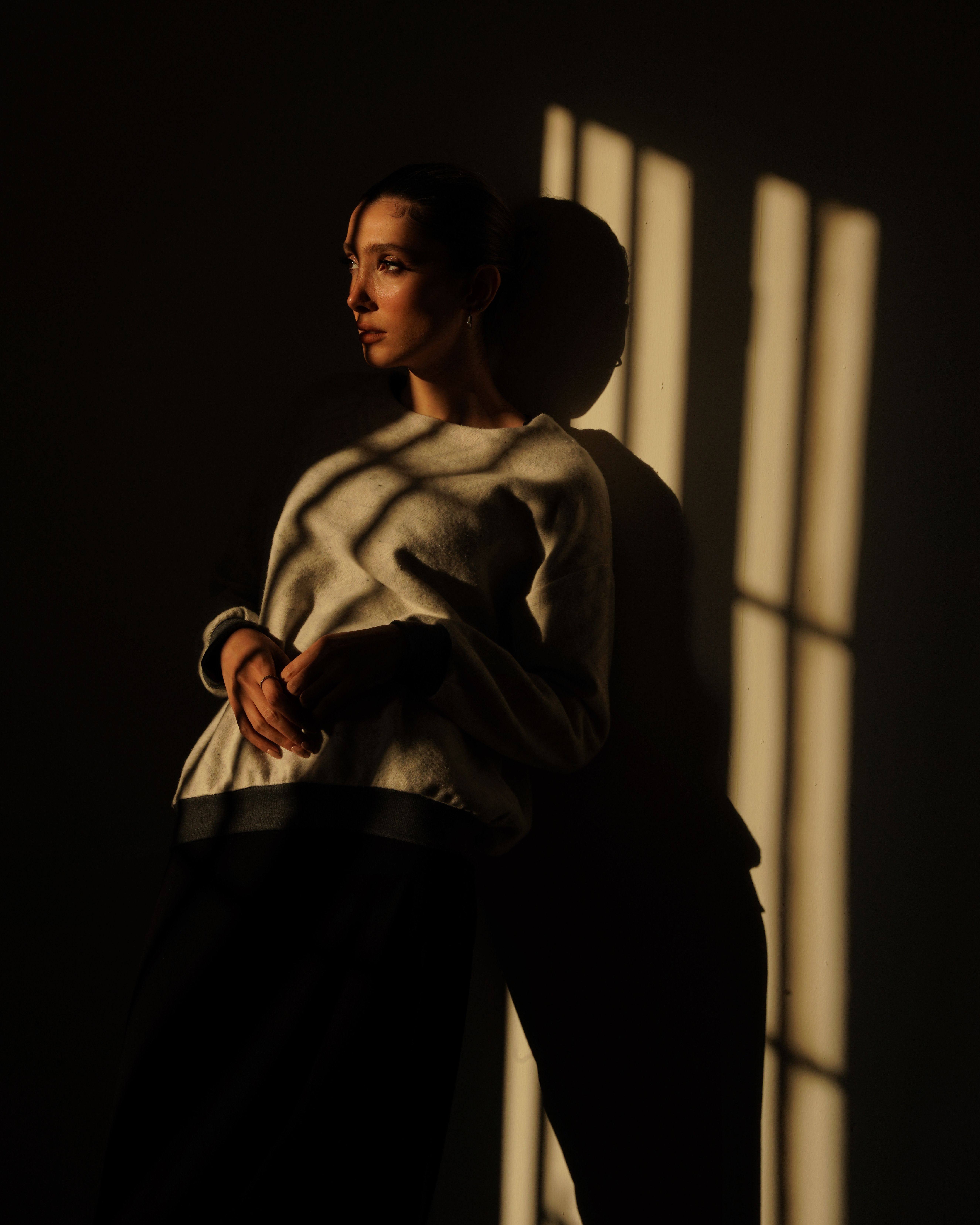 Shadow study