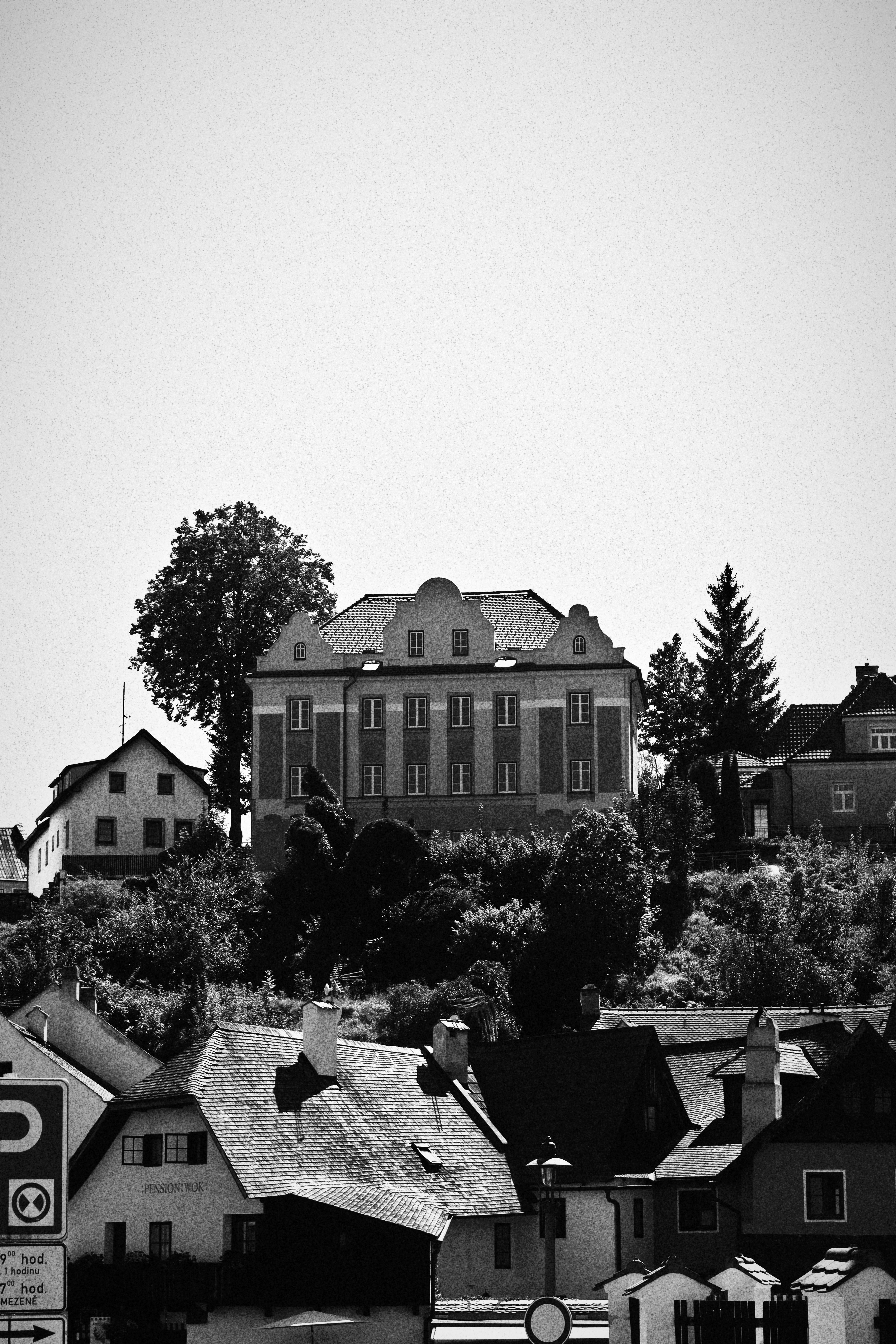 Charming black and white photo with European houses on a hillside.