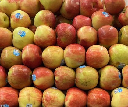 Stretch Island Fruit Original Apple .49oz — kidney-friendly food