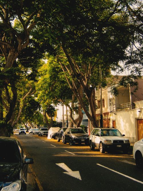 Free Street scene with parked cars under lush trees, casting shadows on a sunny day. Stock Photo