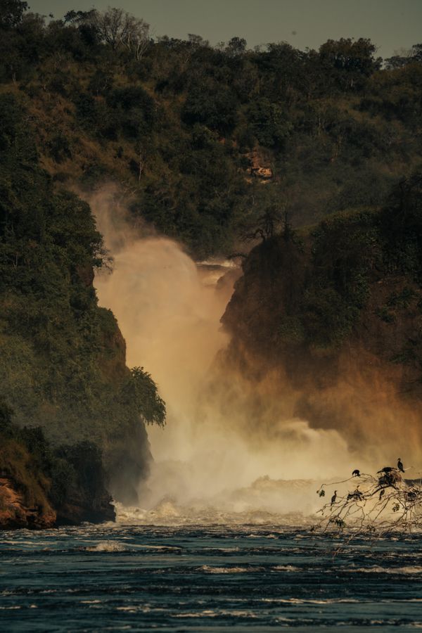 Fly to Murchison Falls - Uganda Safari Flights