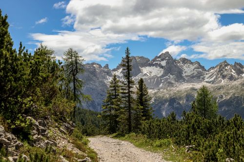 Free Picturesque view of an alpine trail surrounded by lush greenery and towering peaks under a bright blue sky. Stock Photo