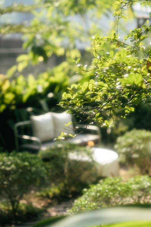 Free A tranquil garden scene with a cozy seat amid lush green foliage, perfect for relaxation. Stock Photo